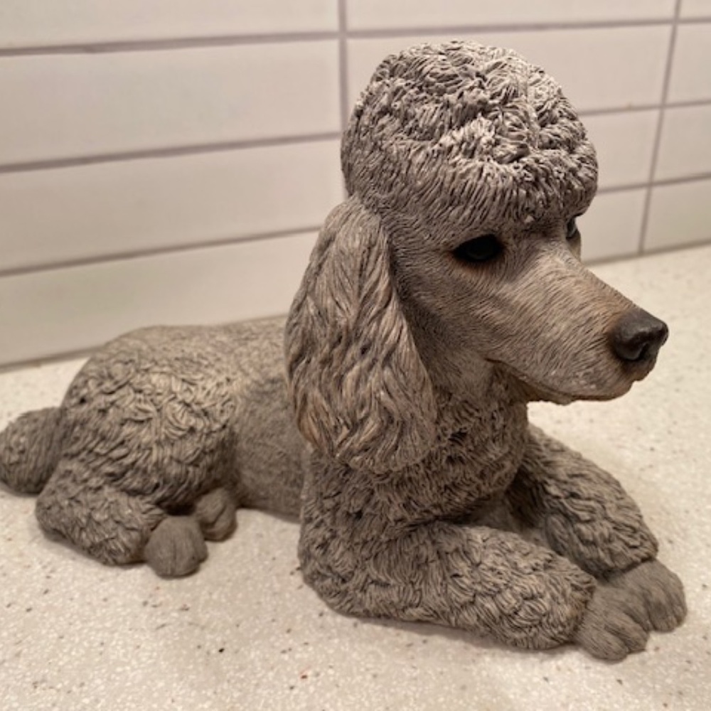 Poodle